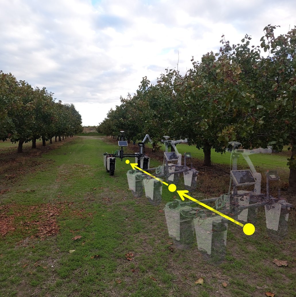 Amiga mobile manipulator navigating row waypoints in a pistachio orchard